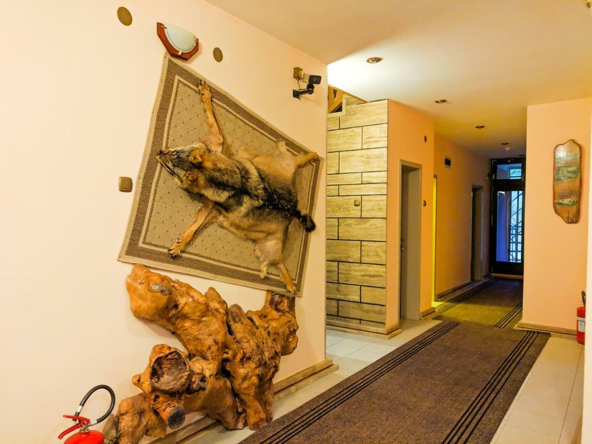 Motel Stecak Яйце Екстериор снимка